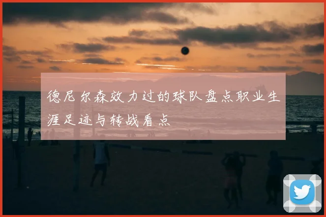 德尼尔森效力过的球队盘点职业生涯足迹与转战看点
